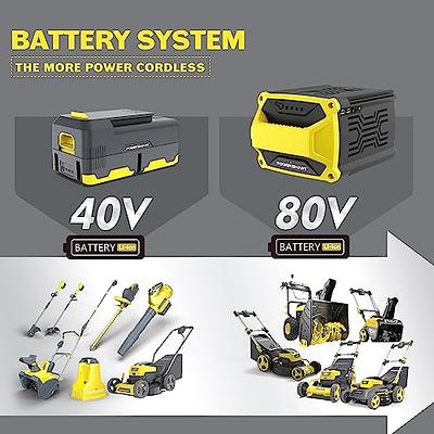 Powersmart 40V Cordless Handheld Turbo Blower with 4.0Ah Battery and Charger Ps76220a