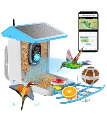 Birdfy Feeder AI & Lite Version: The Smart Camera Bird Feeder