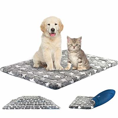 Reversible dog mat