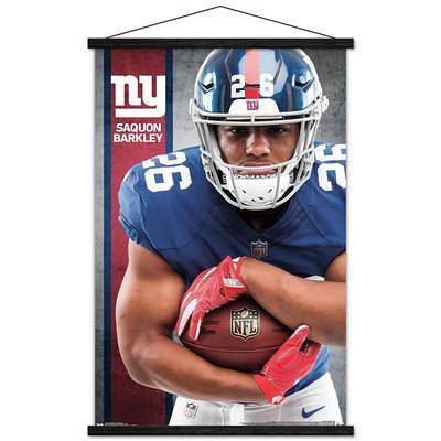 NFL New York Giants - End Zone 17 Poster