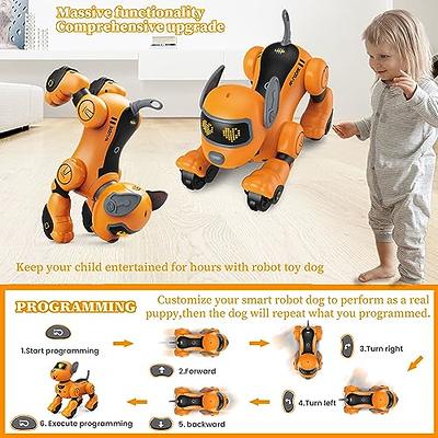 Dancing Interactive Voice Control Intelligent Program Robotic Dog