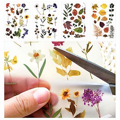 Rub On Transfer Sticker Scrapbook Stickers Flower Stickers Decoration  Sticker Planner Stickers Plant Stickers for Scrapbooking Diary Album  Journals DIY Arts and Crafts (Garden) - Yahoo Shopping