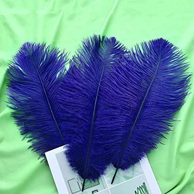 THARAHT Black Ostrich Feathers 12pcs Large Natural Bulk 12-14Inch