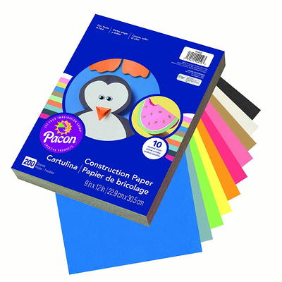 Crayola Project 100 lb. Cardstock Paper, 9 x 12, Vivid Colors, 25  Sheets/Pack (99-0083) - Yahoo Shopping