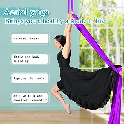 Aerial Silks Yoga Swing Set Equipment - 11 Yards Aerial Yoga Hammock kit,  Low-stretch fabrics for Beginner Dance, Full Accessories (Purple) - Yahoo  Shopping