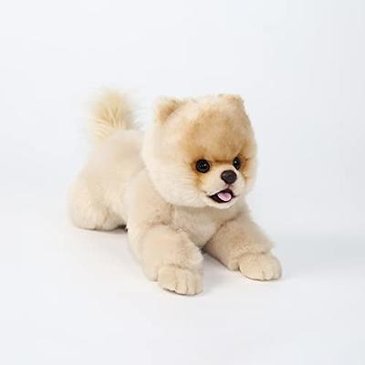 GUND The World's Cutest Dog BOO 4029715 Plush Stuffed Animal 9 Pomeranian