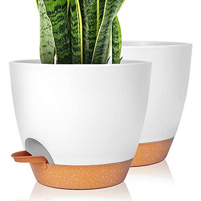 LE TAUCI Ceramic Plant Pots, 4.3+5.3+6.8 inch, Set of 3, Planters with  Drainage Hole and Saucer, Indoor Flower Pot with Hole Mesh Pad, Gifts for  Mom