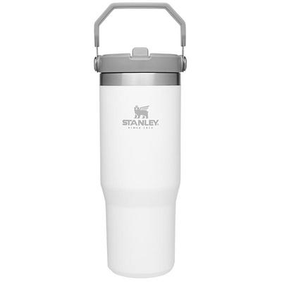 OVENTE 16 oz. Silver Stainless Steel Travel Tumbler with Tea Infuser,  Vacuum Insulated and Double-Walled, Spill-Proof, BPA-Free MSA16S - The Home  Depot