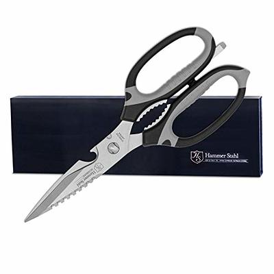 DRAGON RIOT Heavy Duty Poultry Shears - A Must Have Kitchen Shears for  Chicken and Meat Cutting - Dishwasher Safe and Stainless Food Kitchen  Scissors