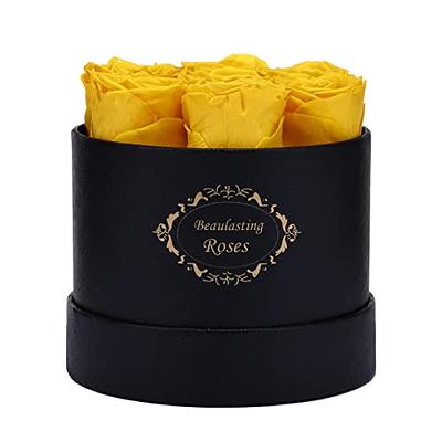7PCS Natural Real Peserved Roses in Round Box Hanmade Long Last Rosa  Forever Fowers Perfect Valentines Mothers Day Gifts For Her - AliExpress