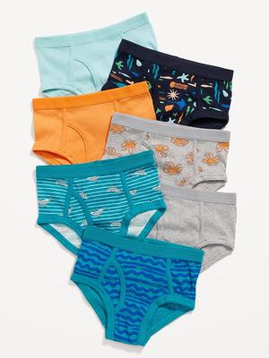 Hanes Toddler Boys' Briefs - Blue 4t : Target