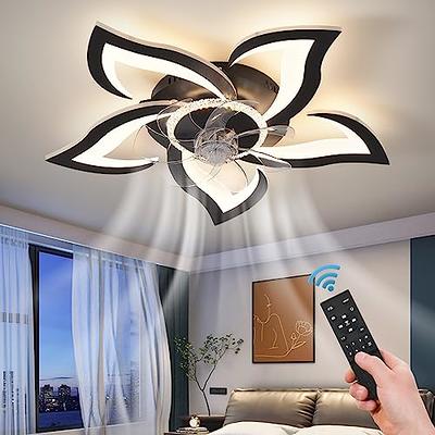  Dalouguan Ceiling Fan with Lights Remote Control, 24