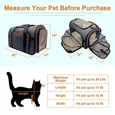 Soft Pet Travel Carrier Bag for Medium, Large Cats, 2 Kitties and