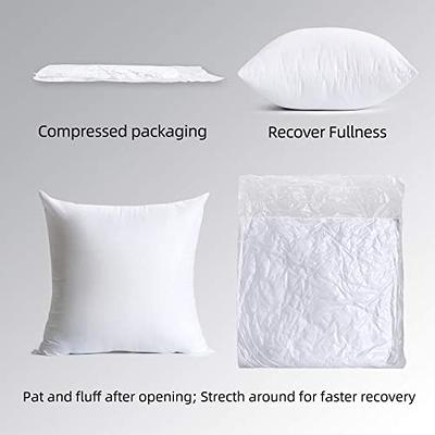 Soft Microfiber Cushion Filler, 20x20 inch, White