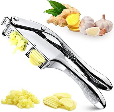 Garlic Press, Stainless Steel Mincing & Crushing Tool for Nuts & Seeds and  Ginger press - Easy Clean 