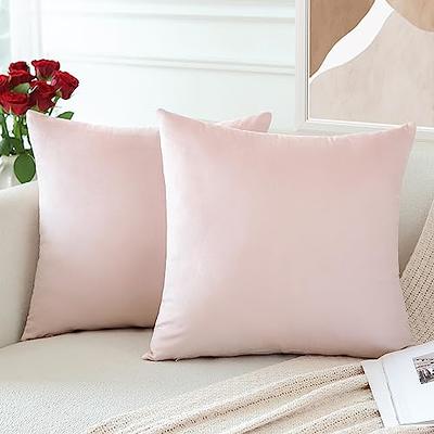 OTOSTAR Velvet Soft Decorative Throw Pillow Covers 24 x 24 Inch