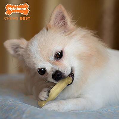 Nylabone Moderate Chew FlexiChew Bone Bacon & Peanut Butter Flavor