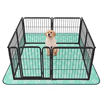 Petbank Washable Pee Pads for Dogs 2-Packs - 24 x 18 Reusable Puppy Pads  High Absorbency Non-Slip Pet Training Pads Waterproof Dog Mats for Breeding  Playpen Potty Crate - Yahoo Shopping