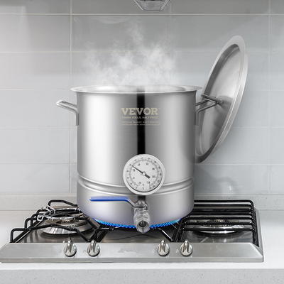 VEVOR Stainless Steel Kettle, 5 GALLON Brewing Pot, Tri Ply Bottom for Beer,  Brew Kettle Pot, Home Brewing Supplies Includes Lid, Handle, Thermometer,  Ball Valve Spigot, Filter, Filter Tray