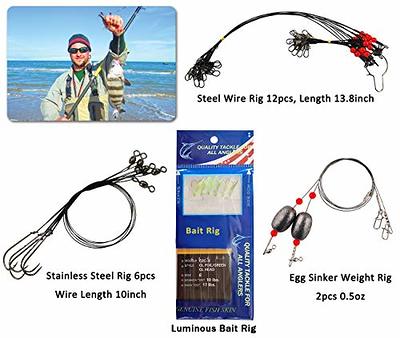 150pcs Saltwater Fishing Lures Surf Fishing Tackle Kit, 41% OFF