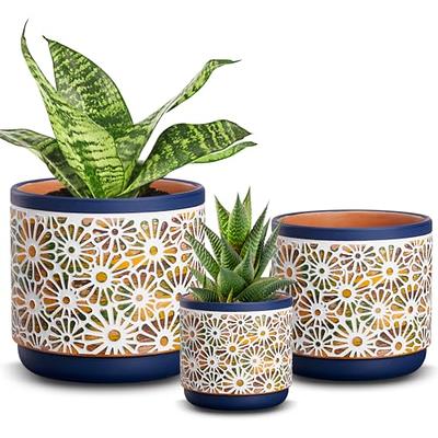 Succulent Pots, 4 Pack Ceramic Planters for Indoor Plants, 3.5 Inch Bo –  Ecoloversstore