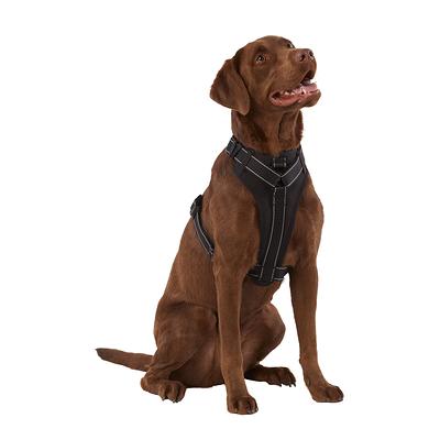 Leather Shotshell Dog Collar and Leash