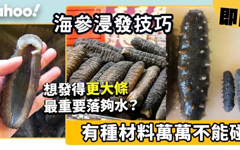 海參浸發│想發得更大條最重要落夠水？有種材料萬萬不能碰！