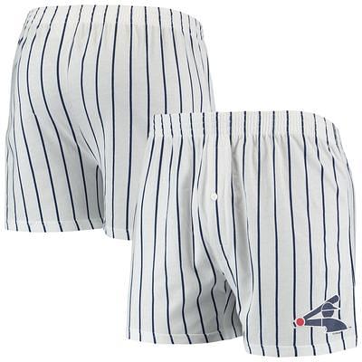 Atlanta Braves Pro Standard Team Logo Pro Ombre Shorts - Blue/Pink