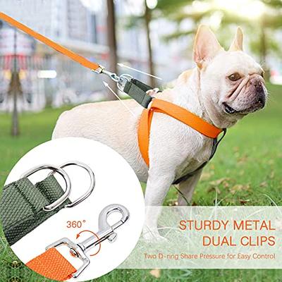 Buy PUPTECK Adjustable Dog Harness Collar and Leash Set Step in No