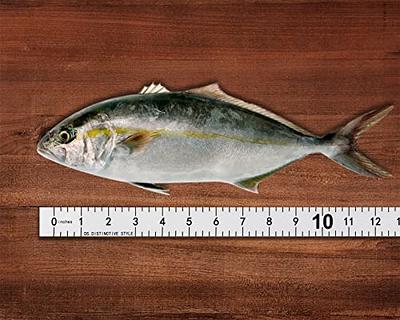DS. DISTINCTIVE STYLE Fish Ruler Sticker 40-Inch Waterproof