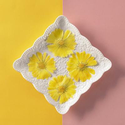 Small Yellow Pressed Dry Flowers, Dried Flat Flower Packs, Pressed Flowers  for Resin Crafts 