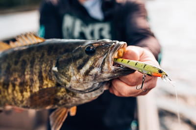 Berkley Hit Stick Fishing Lure, Crazy Steel, 3/50 oz - Yahoo Shopping