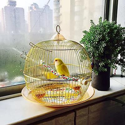100pcs parrot cage liners budgie cage liner Bird Cage Accessories Rabbit