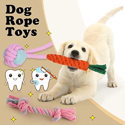 Dog Toys Chew Aggressive Puppy Training Treats Teething Rope Toys