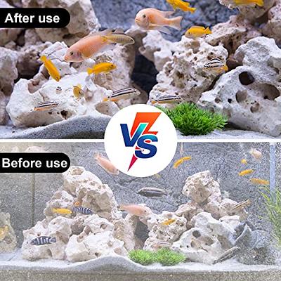 Ntrjtrss Fish Tank Cleaner, Double Sided Sponge Aquarium Cleaner Water Tank  Cleaner - Fish Tank Algae Cleaner Fish Tank Glass Cleaner Tank Cleaning Fish  - Yahoo Shopping