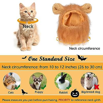 Pet Costume Dress Clothes Apparel for Cats Only Lace Decortaions Outfits  Clothing for Girl Femals Small Dogs Cat Outfits Dress for Cats Only Females