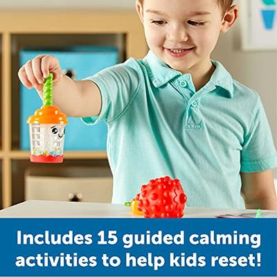 Learning Resources Sensory Fidget Toy Kit