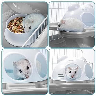 BNOSDM Hamster Cage Mouse Cage with Accessories Food Bowl Water Bottle 2  Layers Transparent Small Hamster Habitat for Dwarf Hamsters Mice