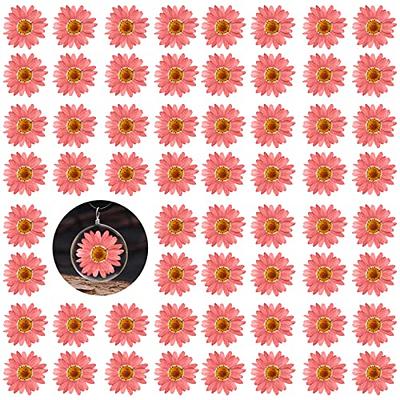 CyHiThai 60PCS Pink Dried Pressed Sunflowers for Crafts  Embellishments,1.2IN Natural Pressed Flowers Margarita Large Daisy for  Resin Jewelry DIY Phone Case Decor Candle Making Decoration - Yahoo Shopping