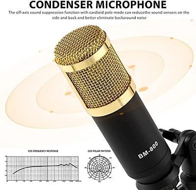 BM-800 Condenser Microphone