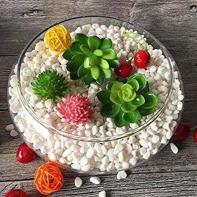 Glass Hydroponic Goldfish Bowl Candy Dish for Office Desk Plastic