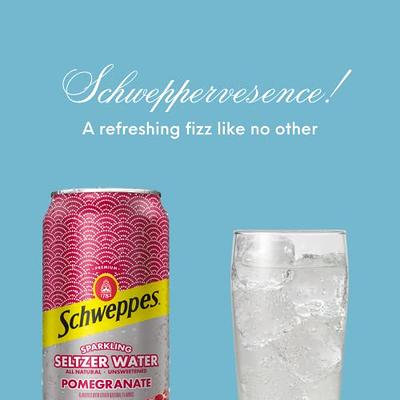 Schweppes Lemon Lime Sparkling Seltzer Water 12 oz Cans