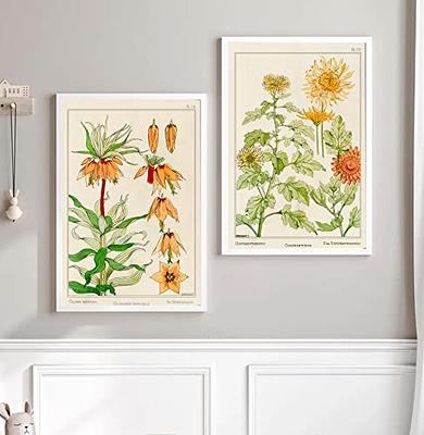 Set of Two Art Nouveau Botanical Vintage Wildflower Plant Study