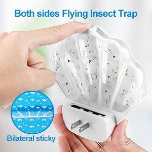 SH Fly Trap - Indoor (SH502)