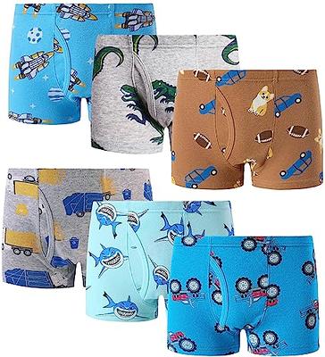  Boys Briefs Toddler Boys Underwear Cotton Space And Dinosaur  Underwear Children Truck Shark Panties Size 4T Multiple