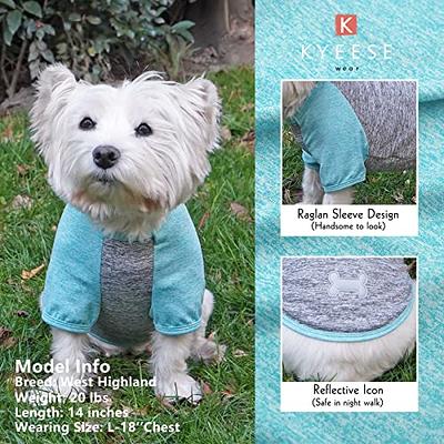 Lucky Petter Dog Cotton Shirts for Small and Large Dogs Raglan T-Shirts  Soft Breathable Dog Shirt pet Clothes (Medium, Black/Gray)