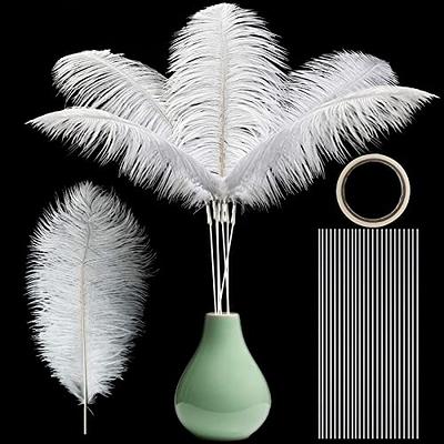 Topshopicks Pack of 24 Natural White Ostrich Feathers Bulk 10-12 Inches  with 10 Inch 24 Sticks and Tape for DIY Decorations Wedding Party  Centerpiece Decorations - Yahoo Shopping