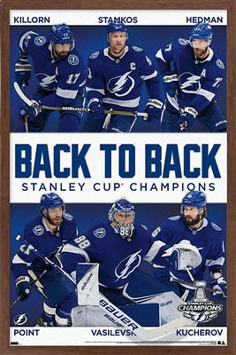 NHL: Stanley Cup 2021 Champions - Tampa Bay Lightning [Blu-ray/DVD]