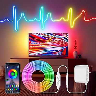 HOUHUI Neon Rope Lights,16.4Ft RGB Multi-Color Chasing LED Neon