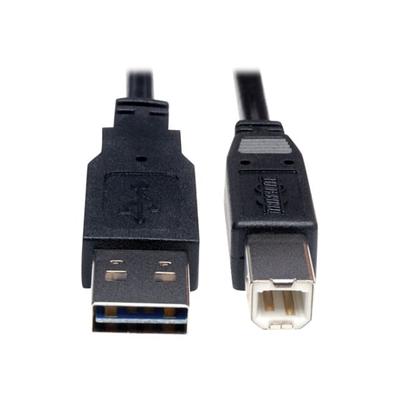 Tripp Lite 6ft USB 2.0 Hi-Speed Cable 5-Pin Mini-B to USB Type-C USB-C M/M  6' - USB-C cable - 24 pin USB-C to mini-USB